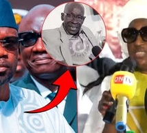 Sonko humilié par Aminata Lo Dieng : réaménagement ministériel et pique “Ibra Italien”