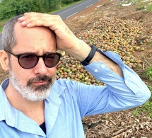 Julien Potron, CEO de Nadji.Bi Group : "Les mangues pourrissent sur la route des Niayes"