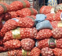 Commerce : Avec une reprise encadrée, le Sénégal lève le gel des importations d’oignon pour stabiliser le marché jusqu’à fin 2025