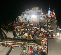 Émigration irrégulière : 683 migrants secourus en une semaine, la Marine nationale a sauvé 282 migrants samedi , 3 embarcations interceptées