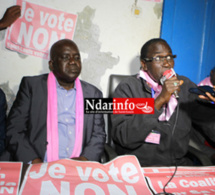 Grosses révélations de la Coalition du Non : "des tonnes de riz et beaucoup d’argent déversés sur Saint-Louis par le Camp du Oui "