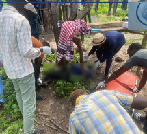 Mystère à Dioudoubou : tué par balle, un berger retrouvé au milieu de ses bœufs dans la brousse