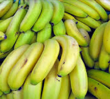 Mesure de promotion des bananes locales : Le gel des importations vire au cauchemar économique