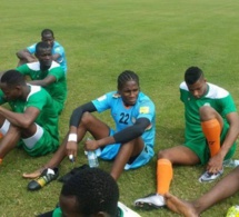 Ce qu’il faut retenir du Niger, adversaire des Lions du Sénégal…