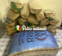 Lutte antidrogue : la Brigade régionale frappe fort à Kolda, 47 kg de chanvre indien saisis