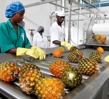 Chiffre d’affaires dans l’industrie : L’Ansd note un relèvement de 23,6% au 2e trimestre 2025