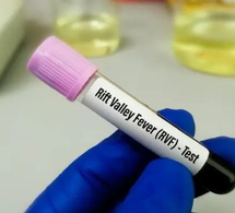 Santé publique : enseignants et éleveurs main dans la main pour contrer la fièvre de la Vallée du Rift