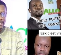 Surprenante réaction de Tange sur l'audio fuité de Cheikh Bara Ndiaye démolit gravement Sonko sur...
