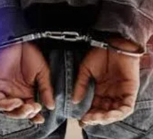 Coup de filet de la BRS : Un réseau de chanvre indien démantelé à Dakar, 10 kg saisis, un trafiquant présumé arrêté