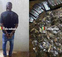 Kédougou – Trafic de drogues : La BRS saisit du Tramadol et du Kush à Kharakhena