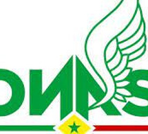 Dakar Plateau : la LONASE fustige les déguerpissements décidés par le maire Alioune Ndoye