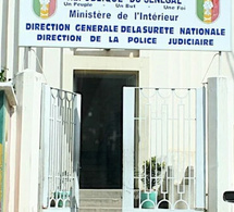 Affaire Sonam Assurance : comment la DIC a fait tomber P. A. Sarr