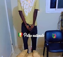 Rufisque : La Police interpelle un individu pour détention et trafic de chanvre indien, portant sur 10 kg.
