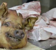 France : deux têtes de porc découvertes sur les grilles de la résidence de l’ambassadeur du Maroc