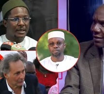 Sonko démasqué sur les rapports cachés Médoune Diop expert Financier détruit sévèrement Cheikh Bara