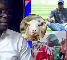URGENT-Alioune Badara Diawara MPR détruit gravement les moutons de pastef au tera-meeting de Sonko