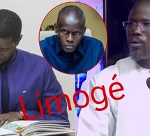 Diomaye limoge un DG de pastef surprenante réaction de Waly Diouf Bodian Abdou Niang Thiam crache...