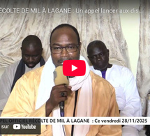 Récolte de mil à Lagane : Un appel lancé aux disciples, vendredi 28 et samedi 29 Novembre 2025