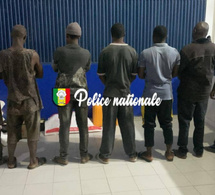 Découverte d’une boulangerie clandestine dans un état insalubre à Biafra: Sept personnes interpellées