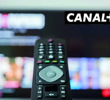 Hausse des tarifs de Canal+: L’Etat du Sénégal a décidé d'agir pour la gratuité des chaînes nationales