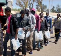 Migrants de retour au Sénégal : L’OIM expose le mécanisme national d’orientation
