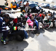 Emigration clandestine : La Division nationale de lutte contre le trafic de migrants et les pratiques assimilées (DNLT) interpelle 238 migrants