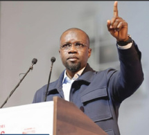 Mounirou Sy, Constitutionnaliste : «Ousmane Sonko est éligible en l’état actuel du droit »