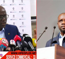 Déclarations de Sonko : Thierno Alassane Sall contre-attaque et balance des révélations explosives !