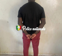 Fatick : un faux agent des FDS arrêté pour une série de vols de motos Jakarta