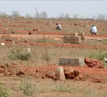Mbane : Des populations s'opposent à l'attribution de 1000 hectares à une entreprise