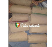 Karang: Saisie de 10 kg de chanvre indien lors d’une patrouille