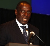 Cheikh Tidiane Gadio : "Le Sénégal doit envoyer une mission d’urgence en Gambie"