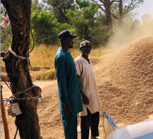 Diombato / Crise de la commercialisation de l’arachide : Modou Thiam lance un cri d’alarme à l’État, depuis le louma de Touba Mouride