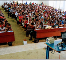 Enseignants-chercheurs sénégalais en Guinée : Entre velléités de mobilité et impératifs de l’orthodoxie administrative