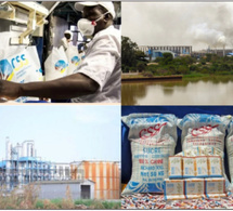 Concurrence déloyale et afflux massif de sucre importé : La CSS, un fleuron menace de fermeture par l’anarchie des Dipa , 8000 emplois en jeu