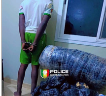 Trafic de chanvre indien: Deux individus arrêtés