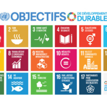 Programme de développement durable : Des experts planchent sur la mise en œuvre