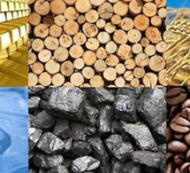 Marché mondial des matières premières : Repli généralisé des prix en octobre 2025