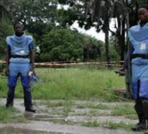 Déminage en Casamance : Chris Natale détache la fiction de la réalité