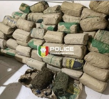 Lutte contre le trafic de stupéfiants : Saisie record de 120 kg de chanvre indien à Mbour