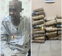 Lutte contre le trafic de drogue : la BRS de Kaolack intercepte 55 kg de chanvre indien