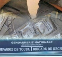 Aveux, fuites et saisies : le film de l'arrestation de 5 présumés homosexuels par la BR de Touba