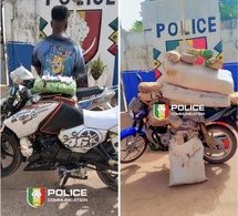 Kolda : 44,1 kg de chanvre indien saisis lors de deux opérations policières