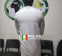 Démantèlement d’un réseau d’escroquerie au visa : La DNLT défère un récidiviste au Parquet