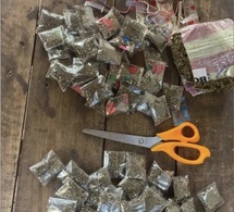 Saraya: Quatre individus arrêtés pour détention et trafic de chanvre indien