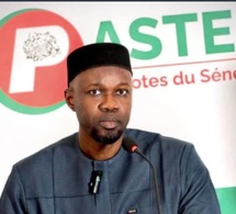 Déceptions et promesses non tenues : Un responsable Pastef claque la porte