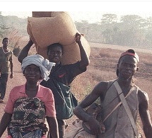 Kolda : Dans l'enfer de l'enclavement, quand rompre le jeûne coûte 40 kilomètres d'efforts