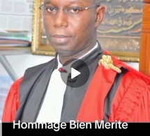 Du dénuement à l'excellence : Le parcours héroïque du Pr Daouda Ndiaye