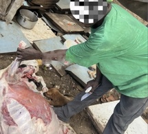 Guédiawaye : interpellation d’un individu après une tentative de cuisiner un chien