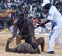 Sanction pécuniaire : le nouveau « Roi des arènes » perd plus de 2 millions F CFA